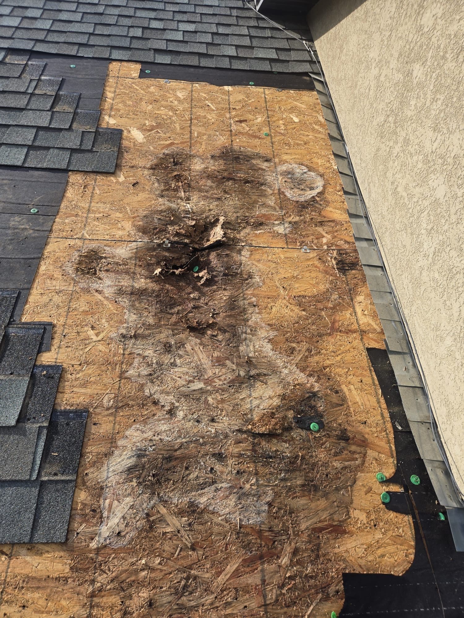 Roof Repair in Utah